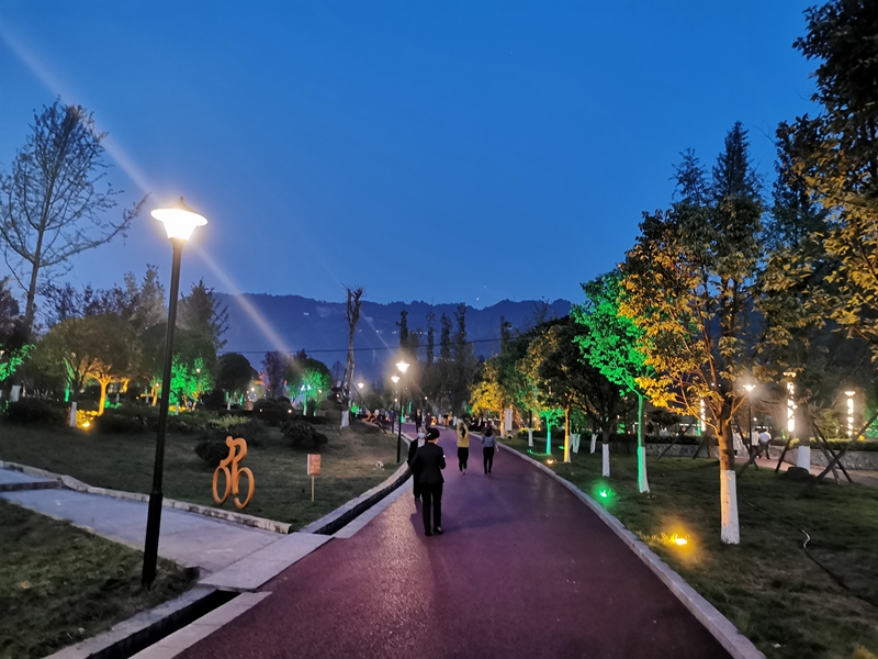 台州湿地公园夜景图片