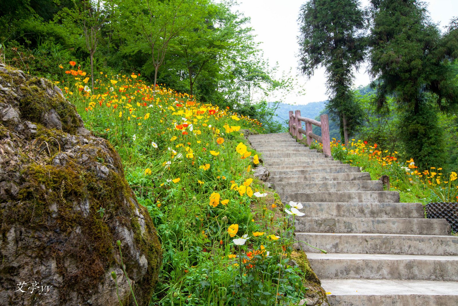 旅遊] 仁吉喜目谷-------汶川水磨古鎮的又一張名片【已上麻辣首頁】