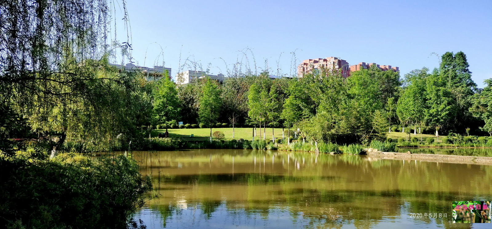 093931czvlnwofvoonyzfn.jpg