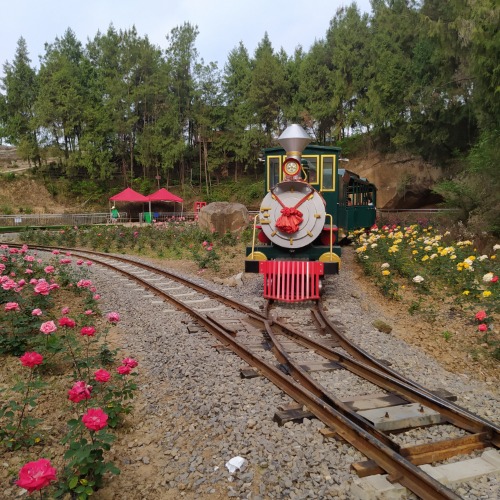 巴中苏山坪景区门票图片