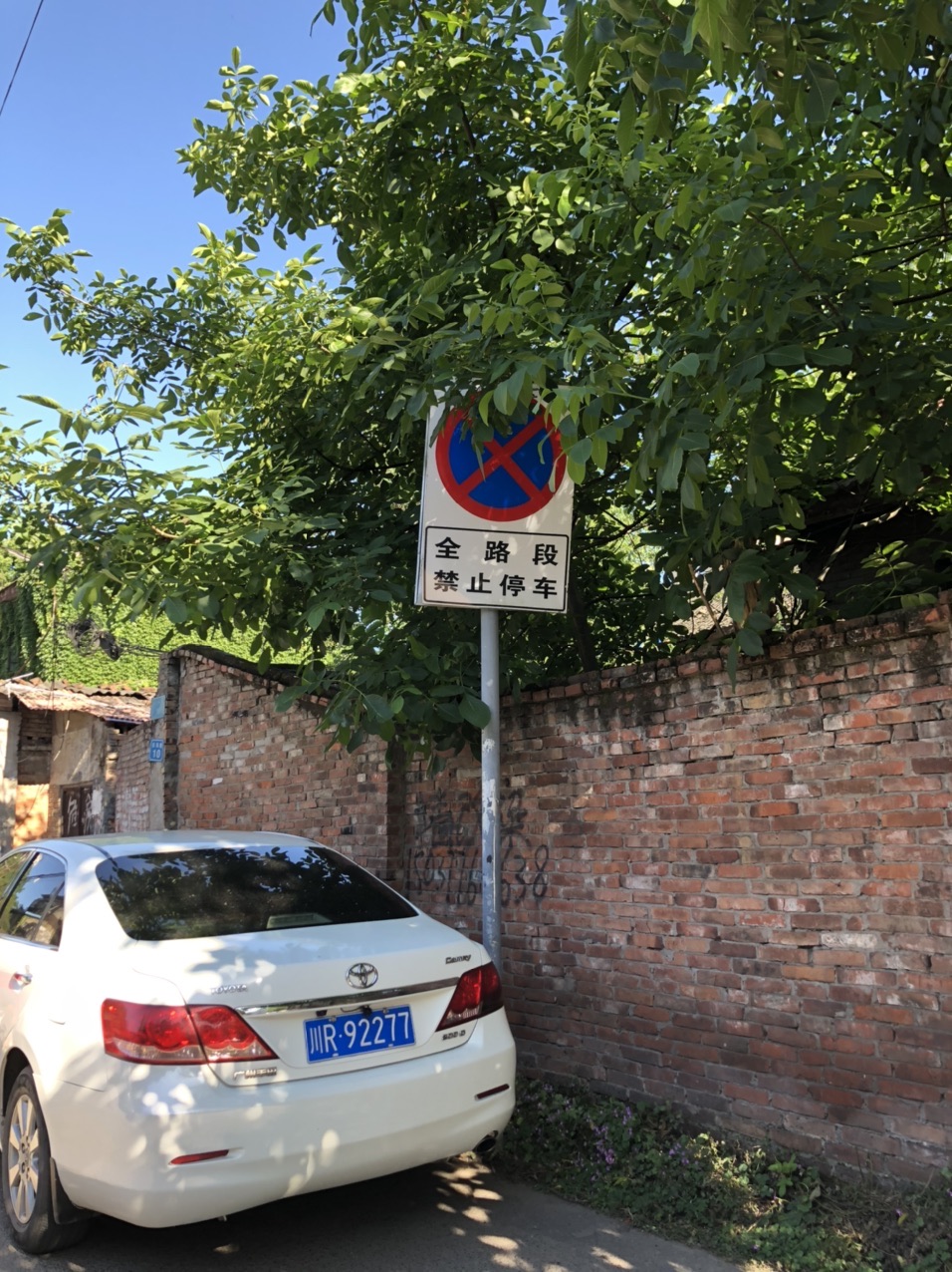 202005097697896158901644212378.jpg