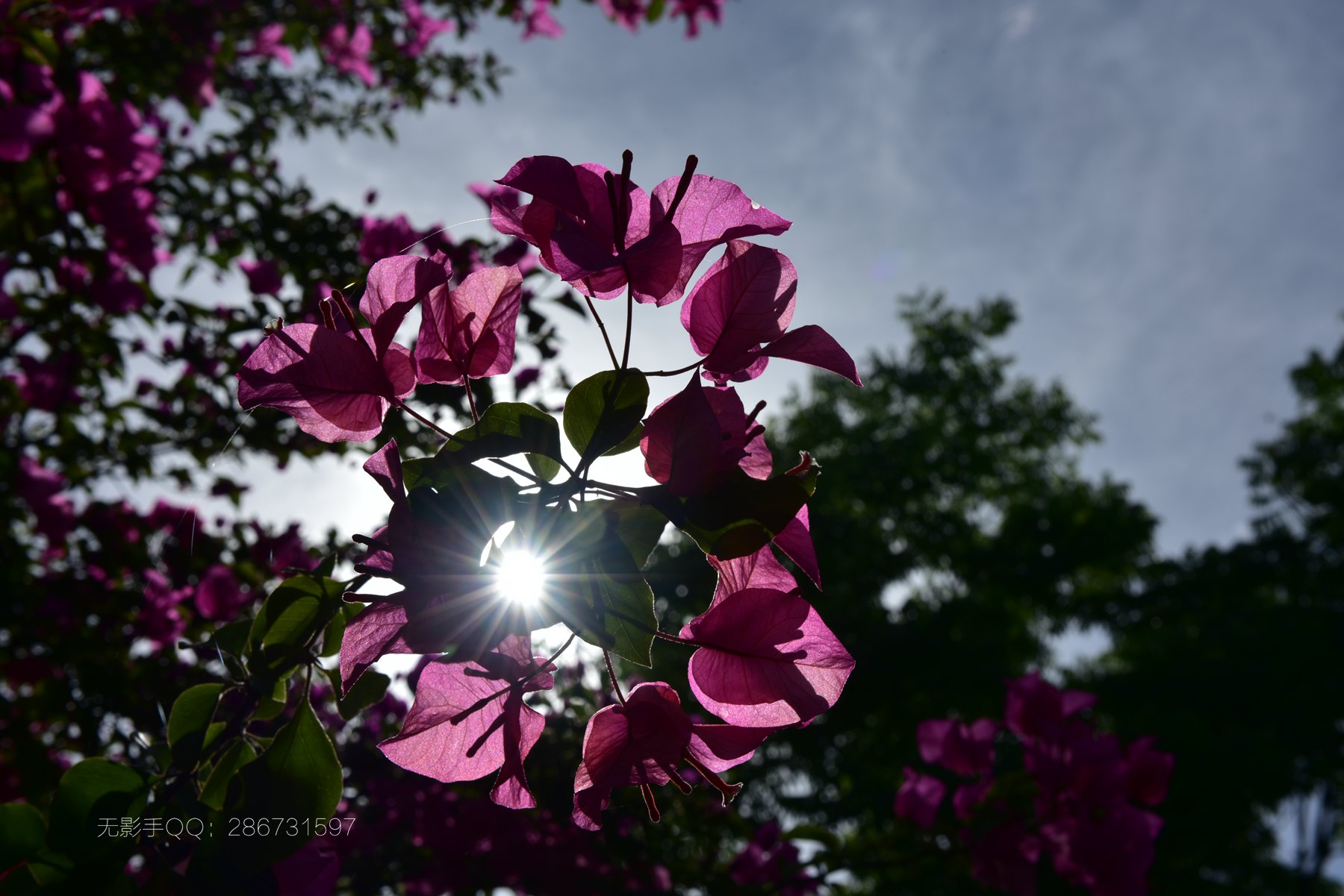 DSC_4904.jpg