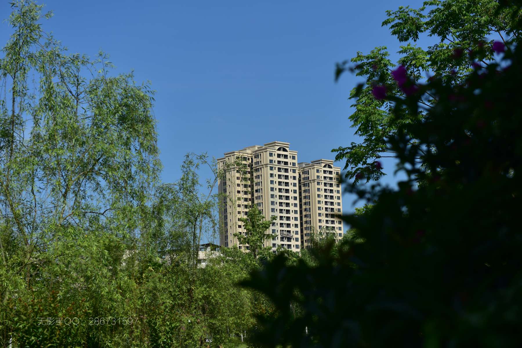 DSC_4919.jpg