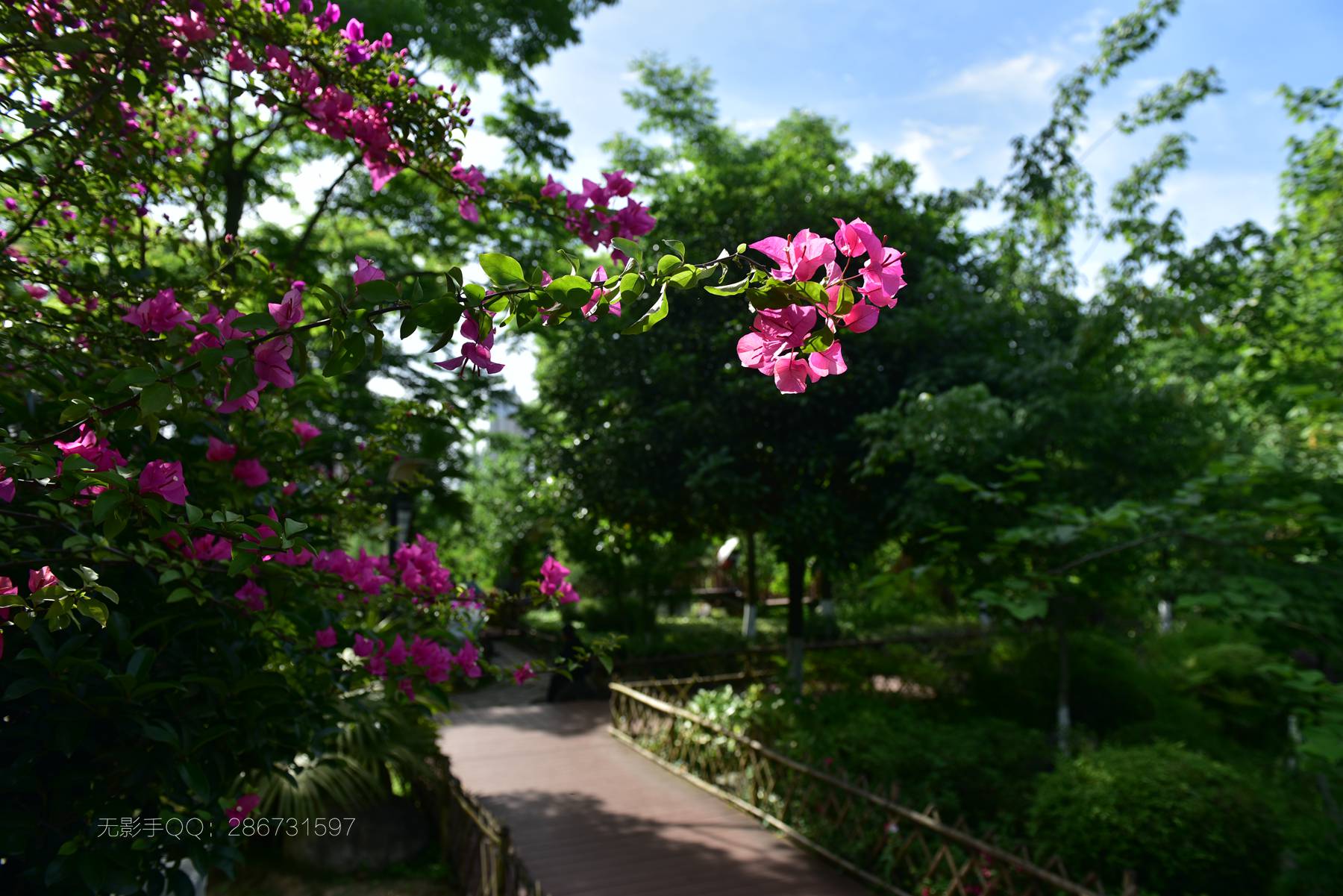 DSC_4918.jpg