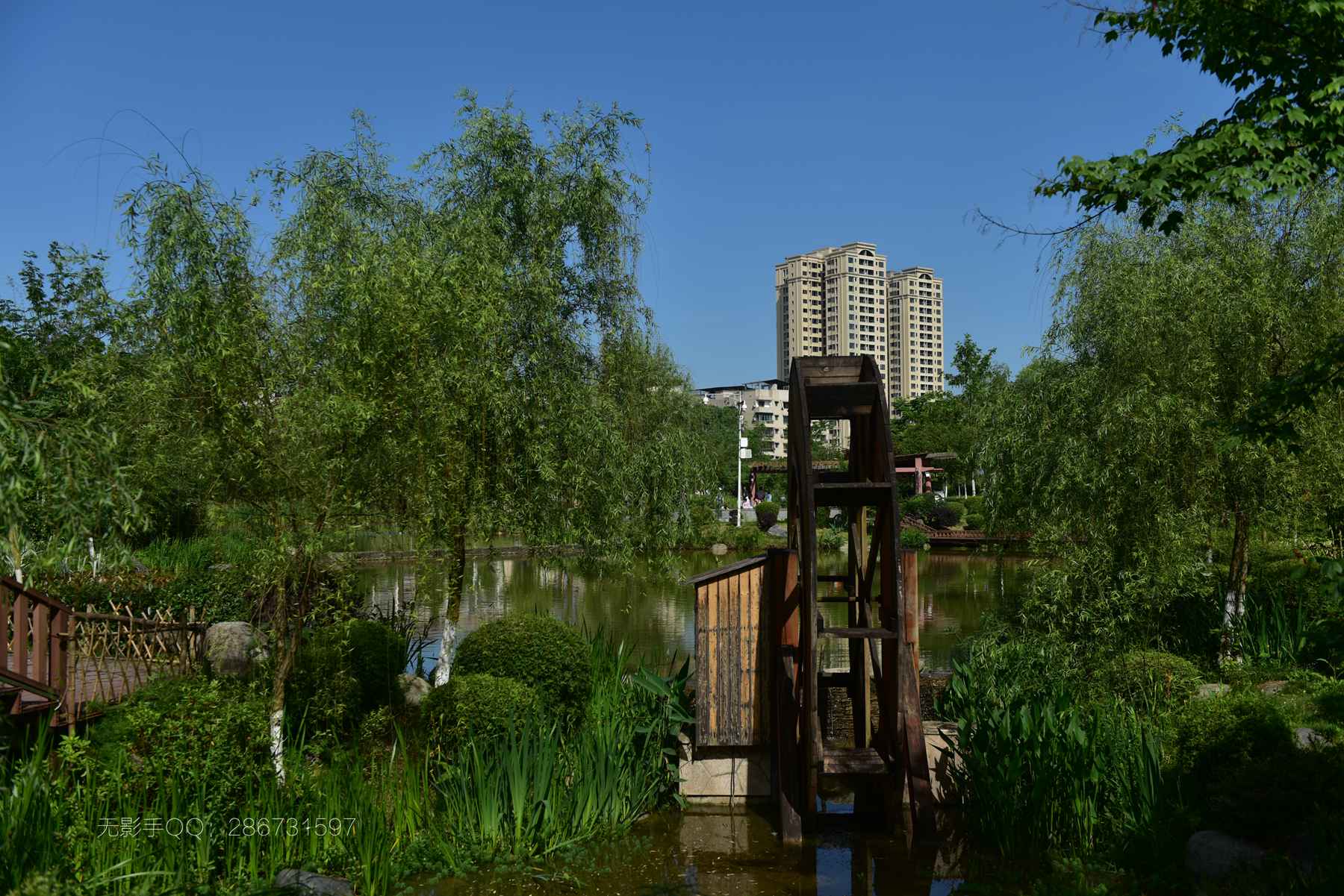 DSC_4932.jpg