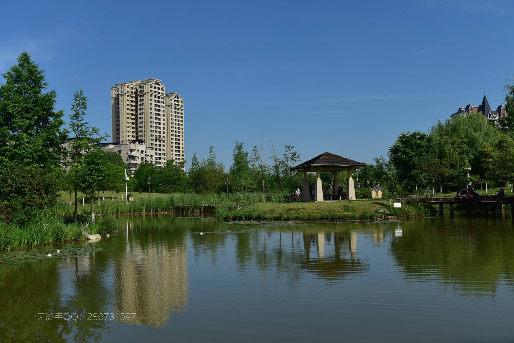 DSC_4946.jpg