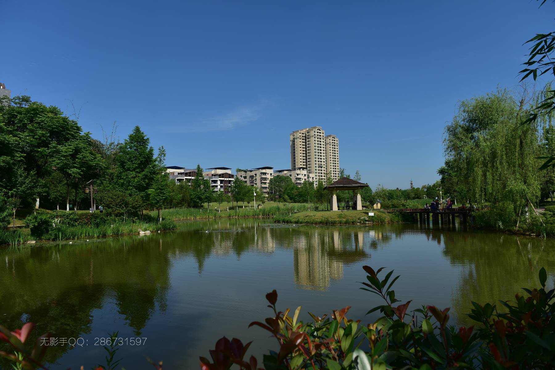 DSC_4943.jpg