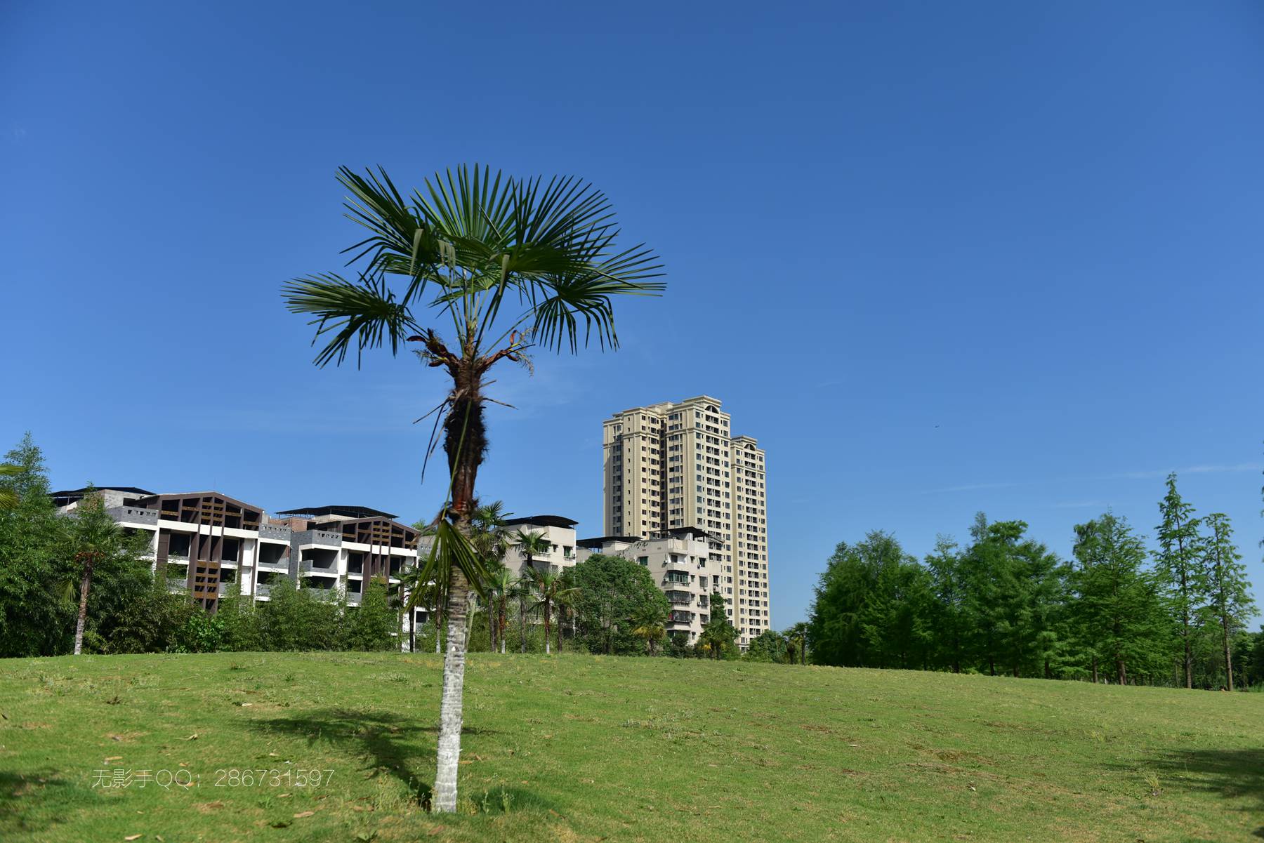 DSC_4959.jpg
