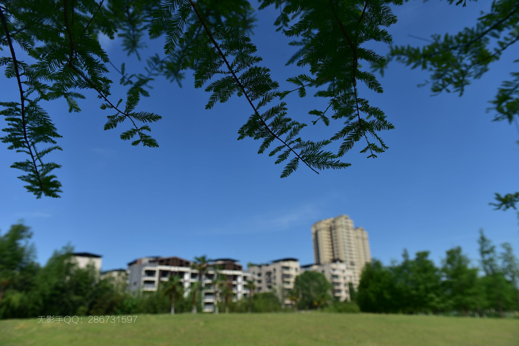 DSC_4962.jpg