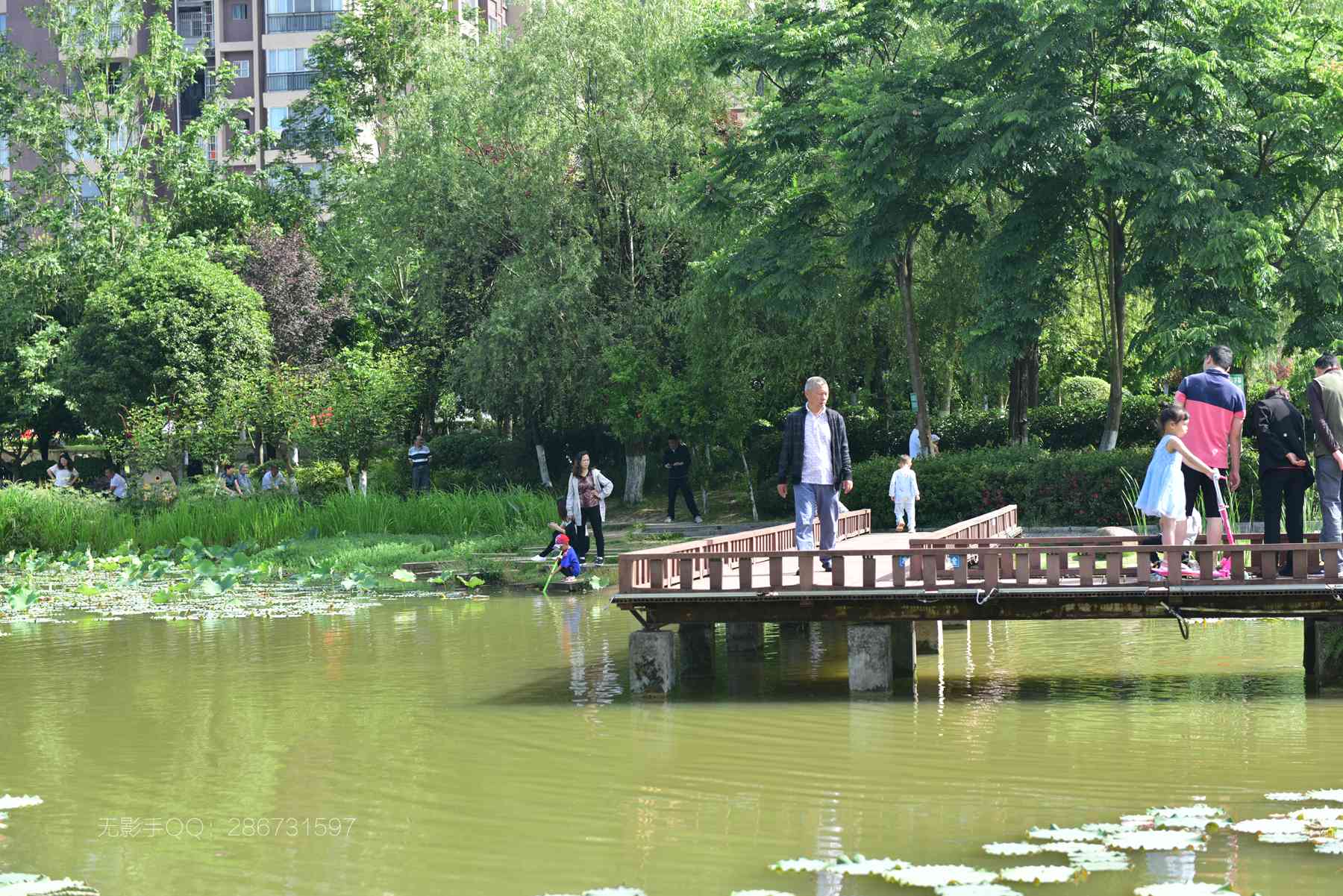 DSC_4967.jpg