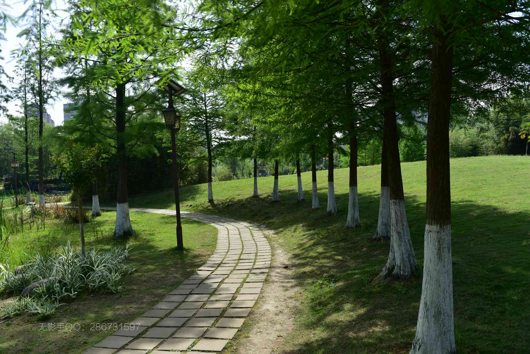 DSC_4997.jpg