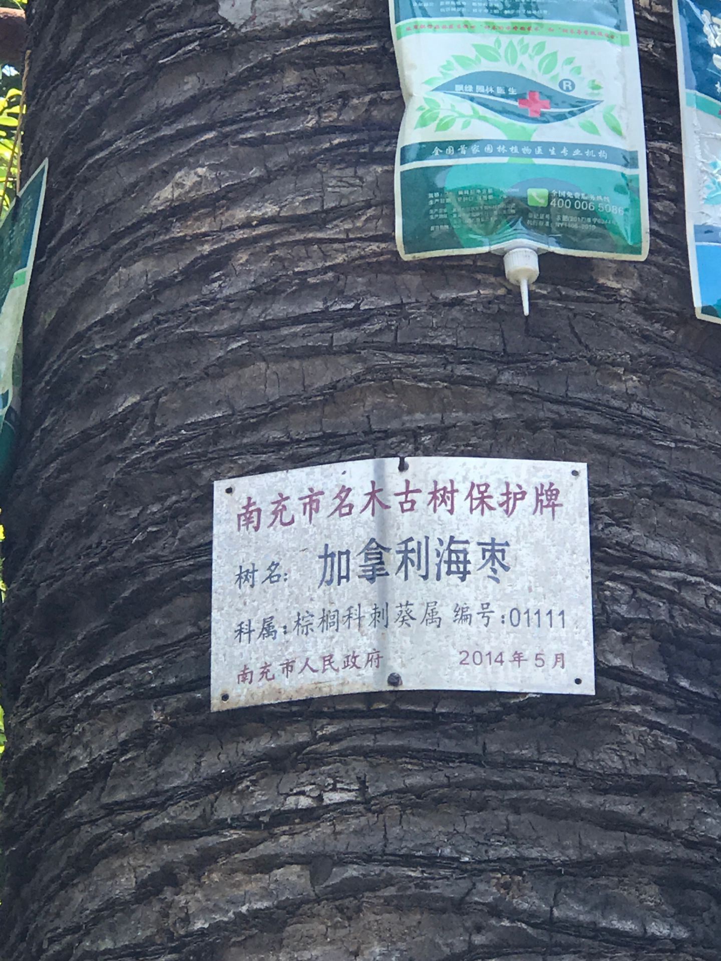 QQͼƬ20200511094503.jpg