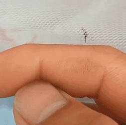 20200512_7488241_1589240203373.gif