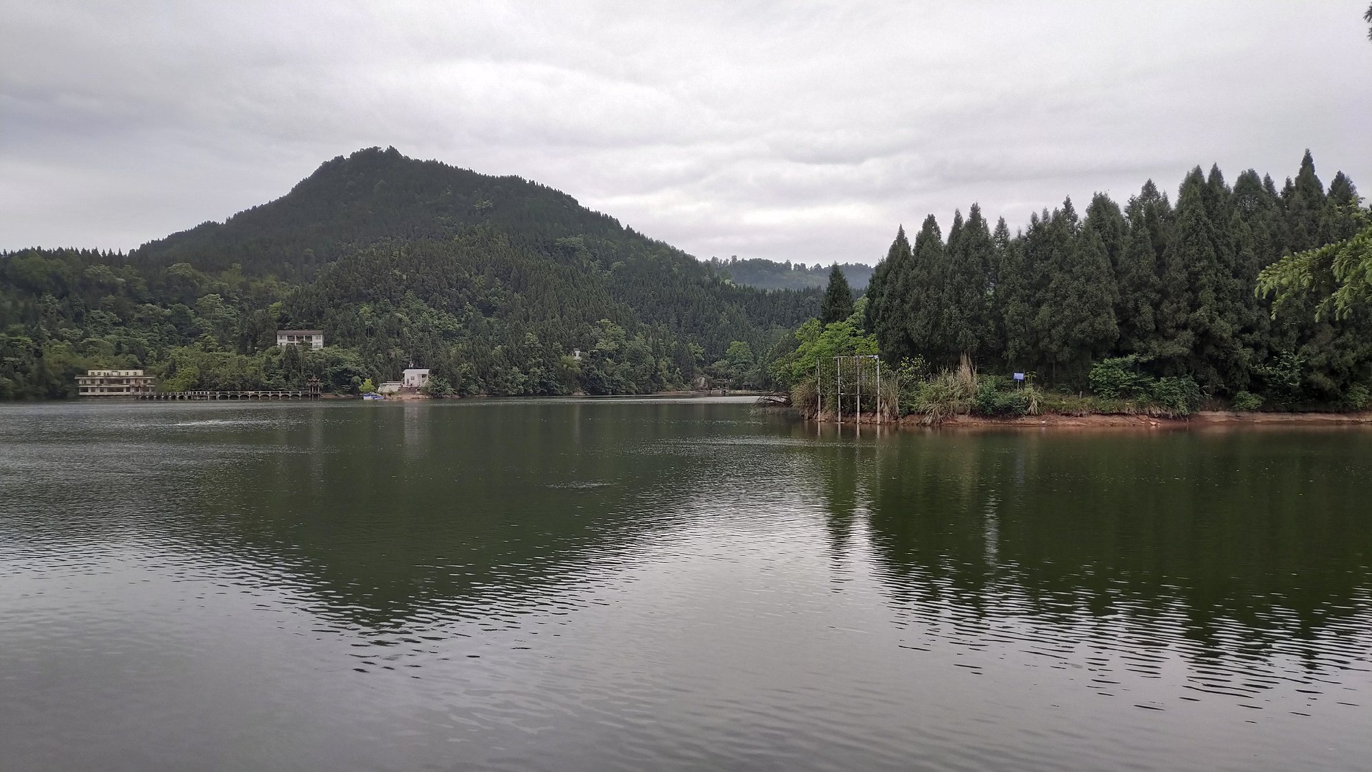 P00509-071749.jpg