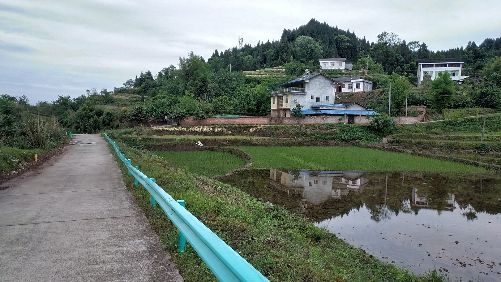 P00509-075650.jpg