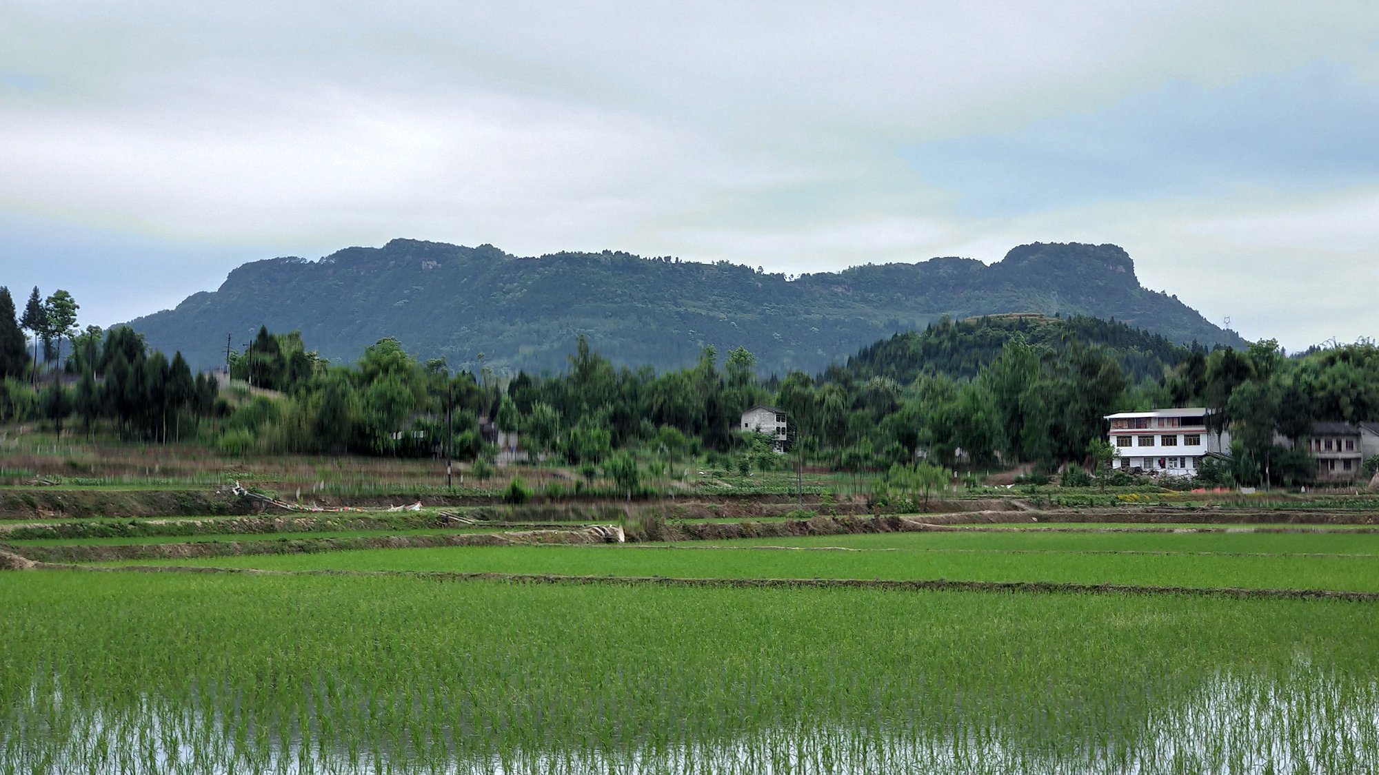 P00509-080745.jpg