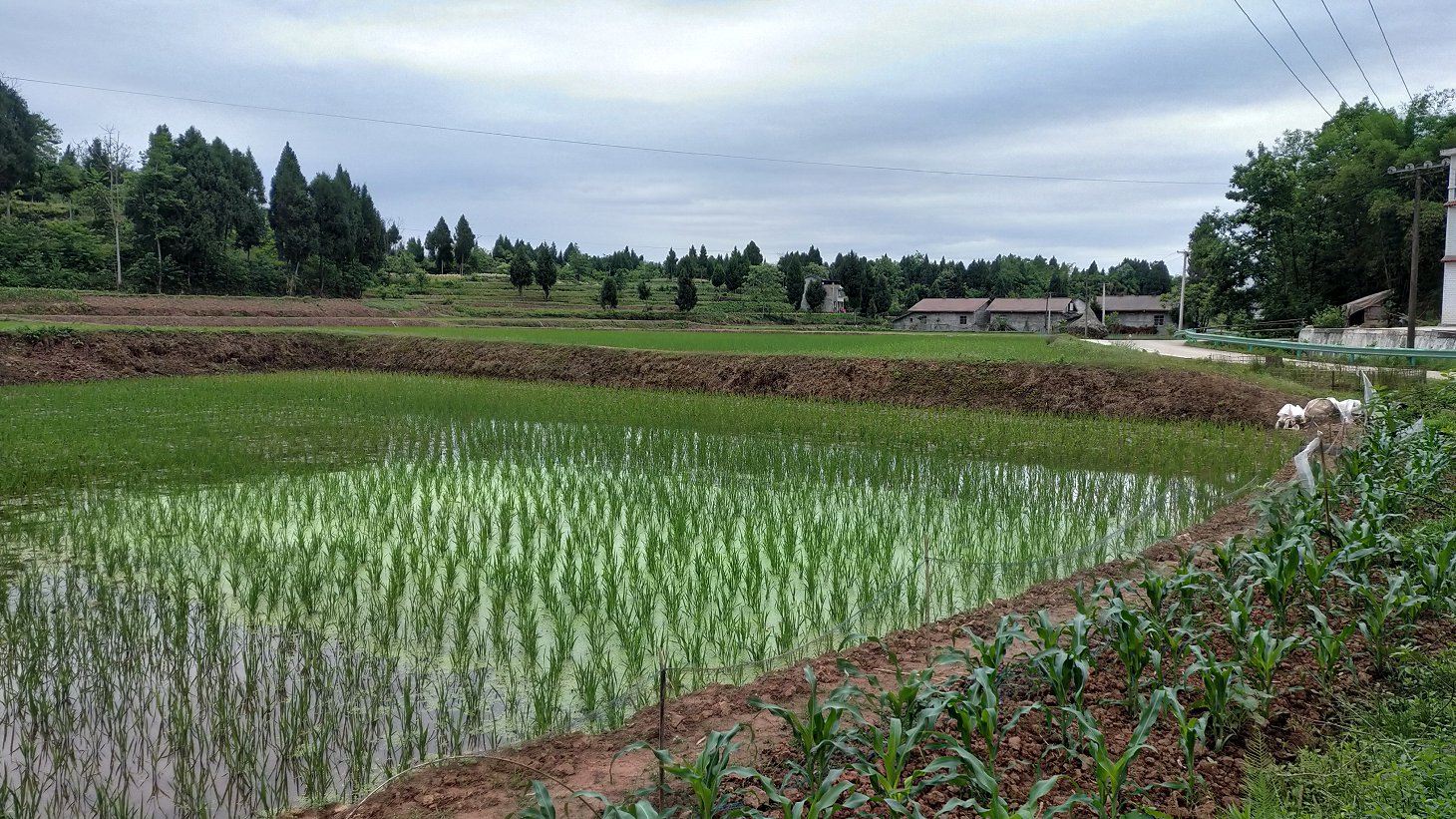 P00509-084929.jpg
