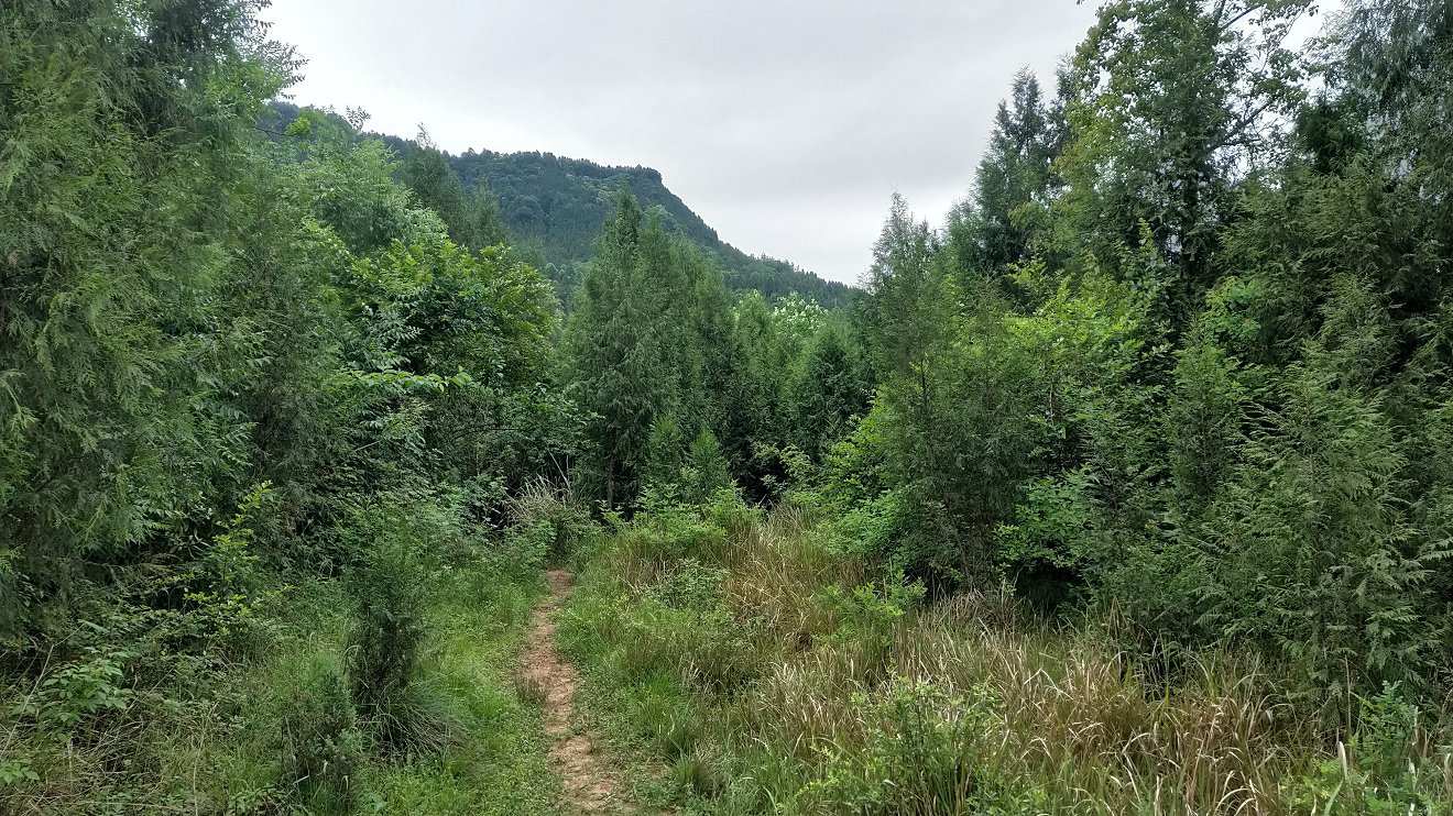 P00509-090517.jpg