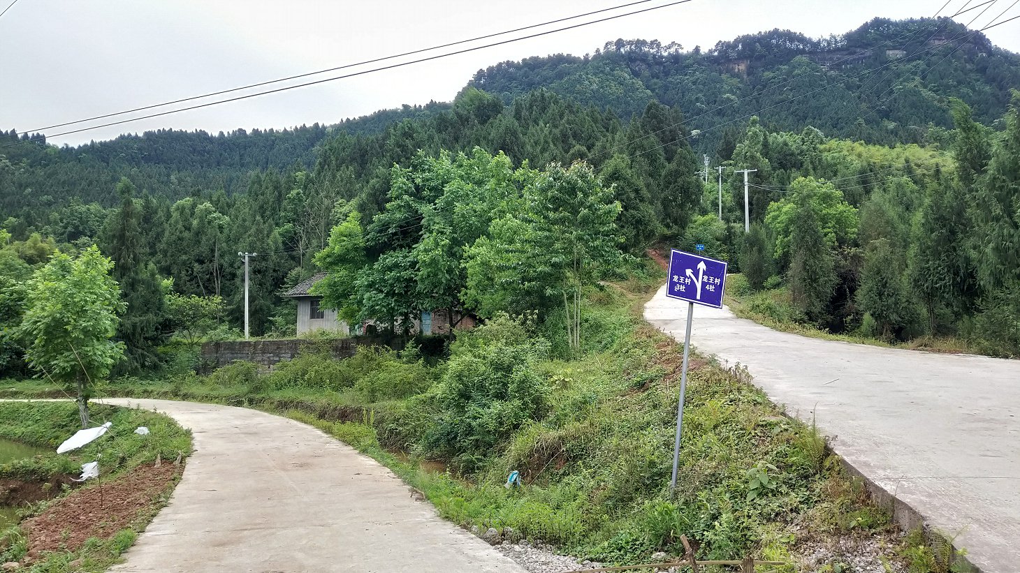 P00509-091221.jpg