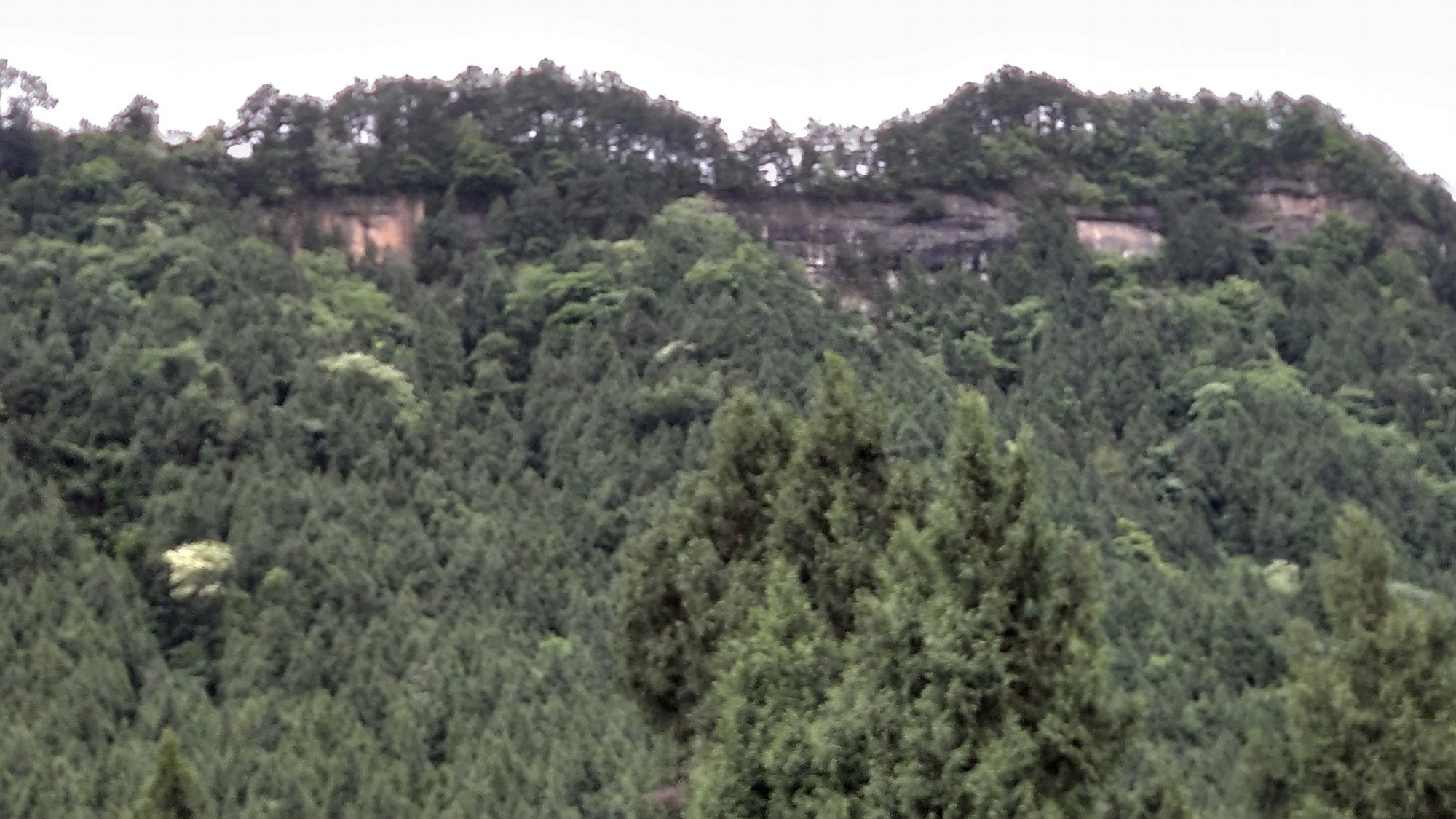 P00509-092734.jpg