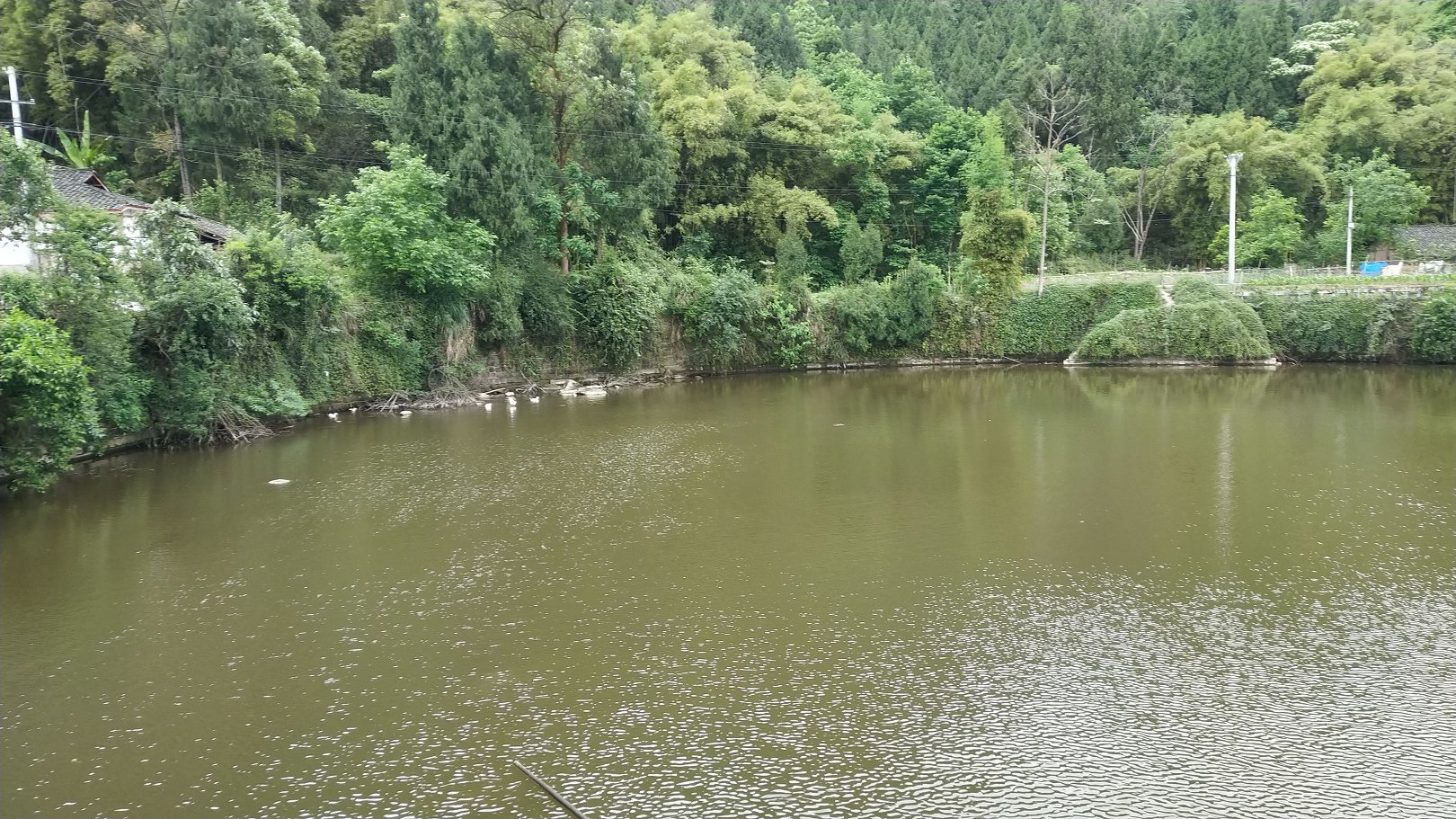 P00509-093036.jpg