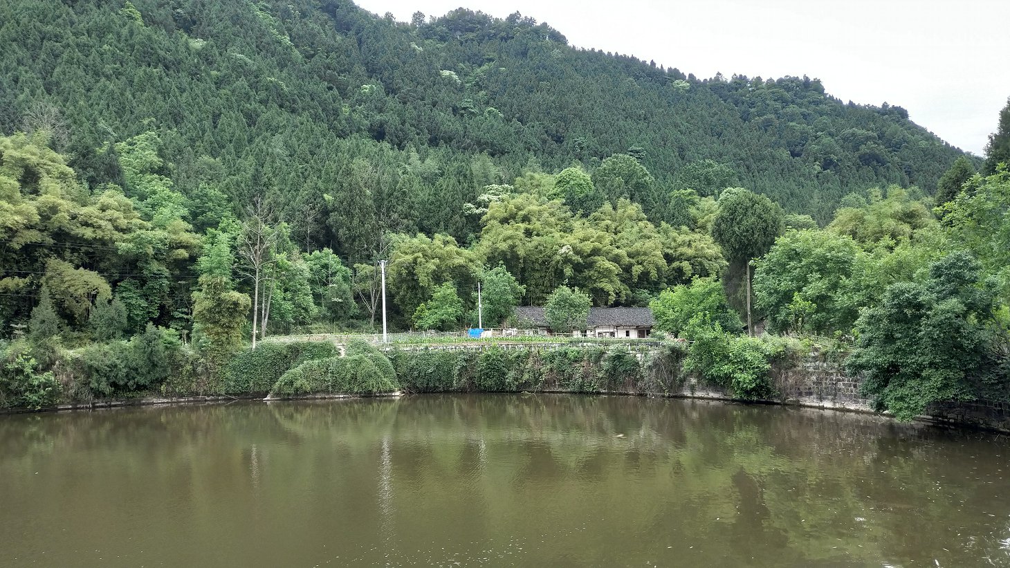 P00509-093249.jpg