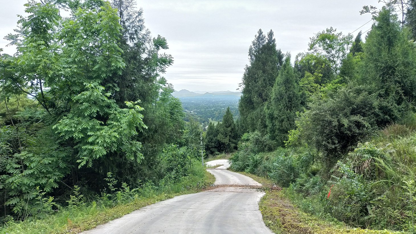 P00509-094237.jpg
