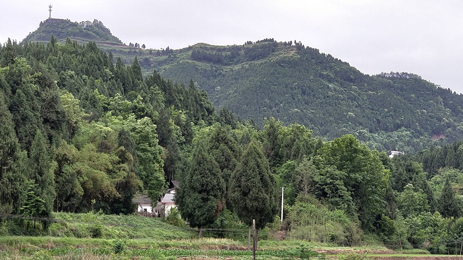 P00509-095500.jpg