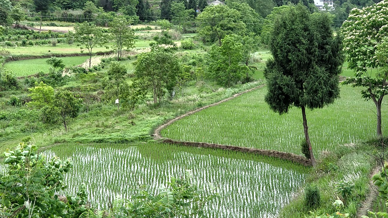P00509-101403.jpg