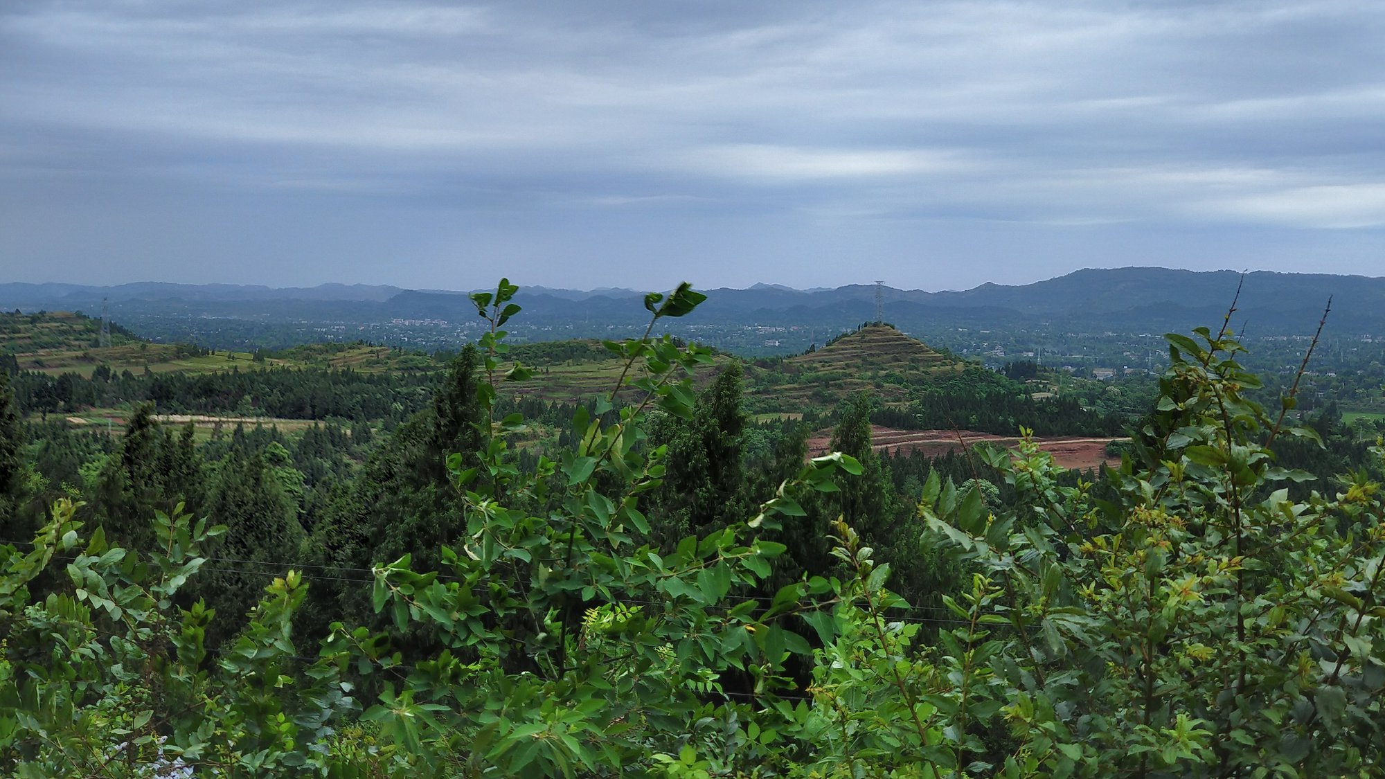 P00509-094506.jpg