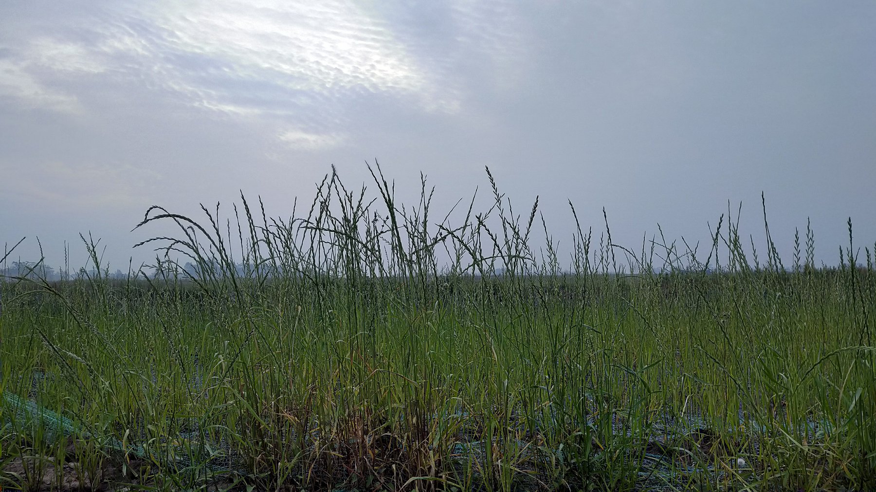 P00517-061003.jpg