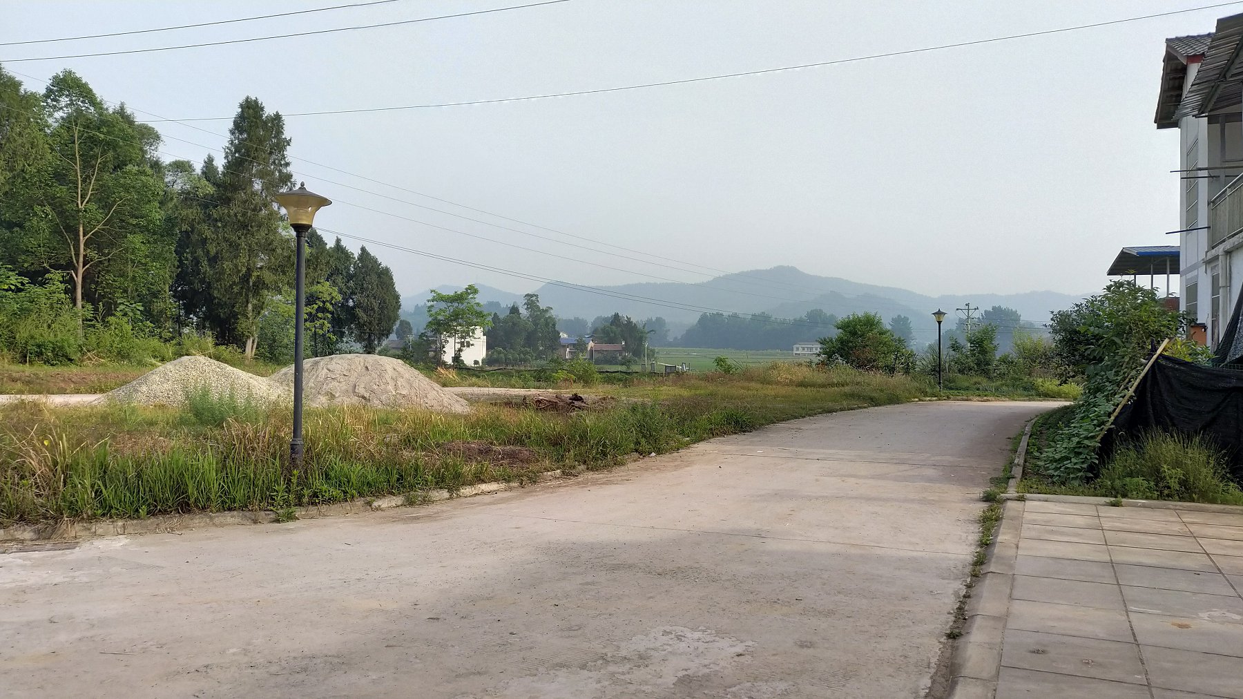 P00517-080019.jpg