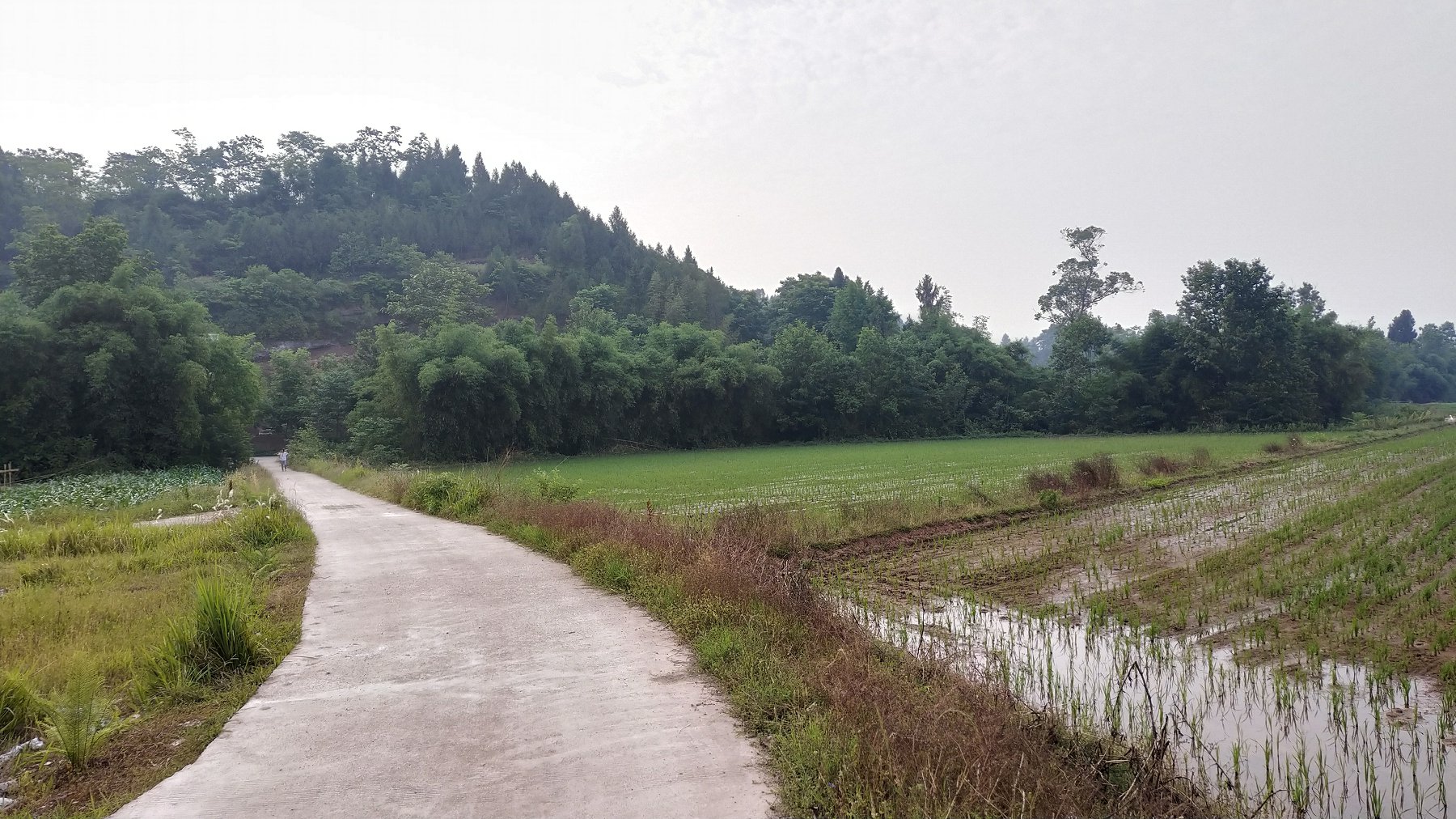 P00517-080952.jpg