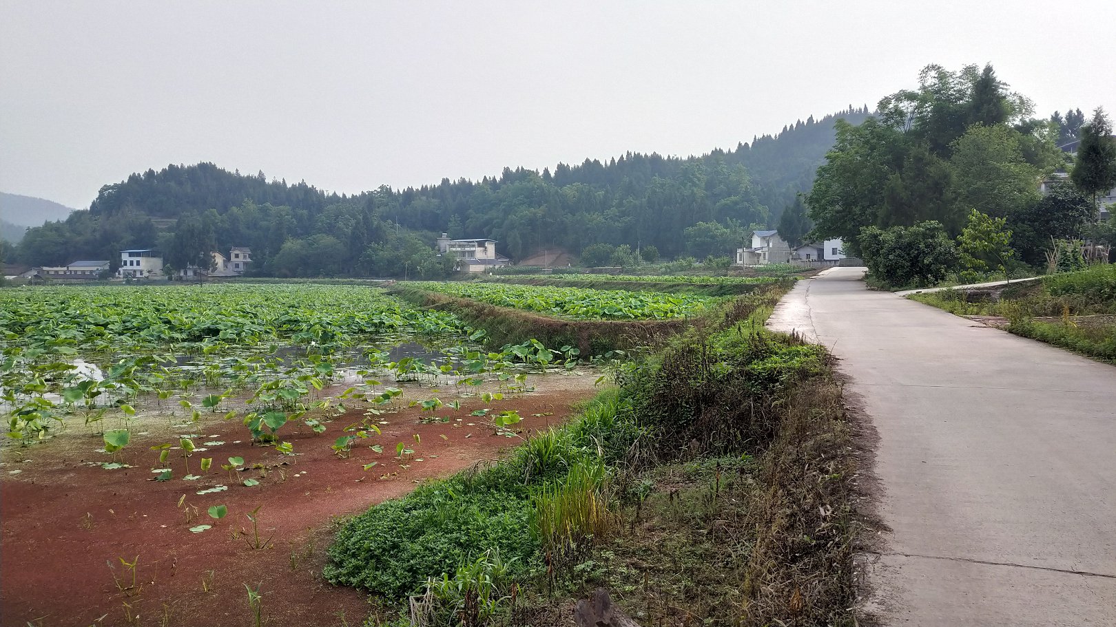 P00517-081440.jpg