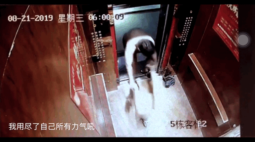 5.gif