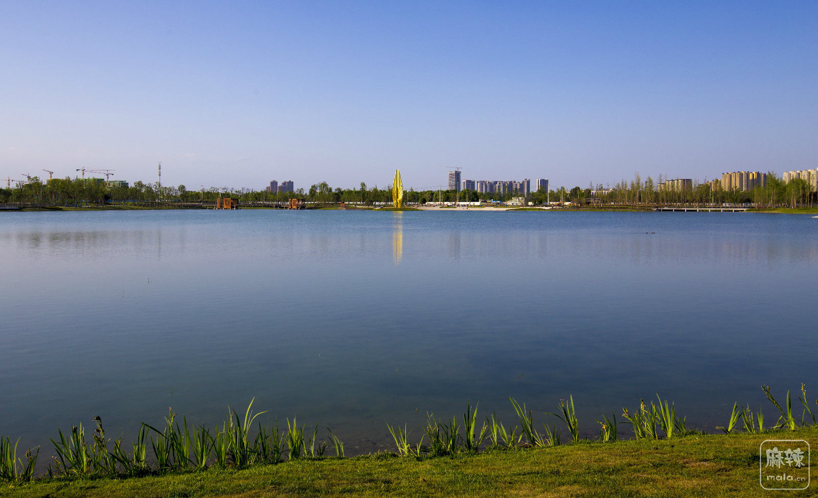 菁蓉湖城市公园图片