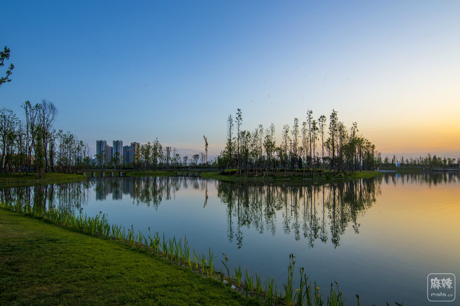 菁蓉湖城市公园图片