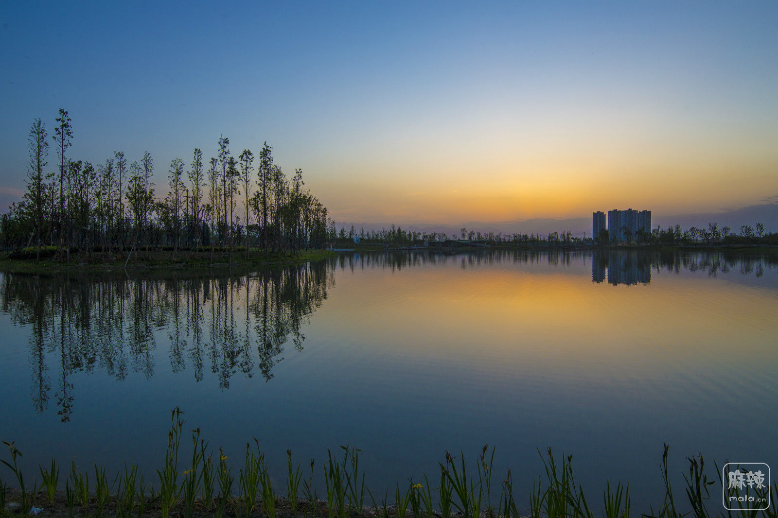 菁蓉湖生态公园图片
