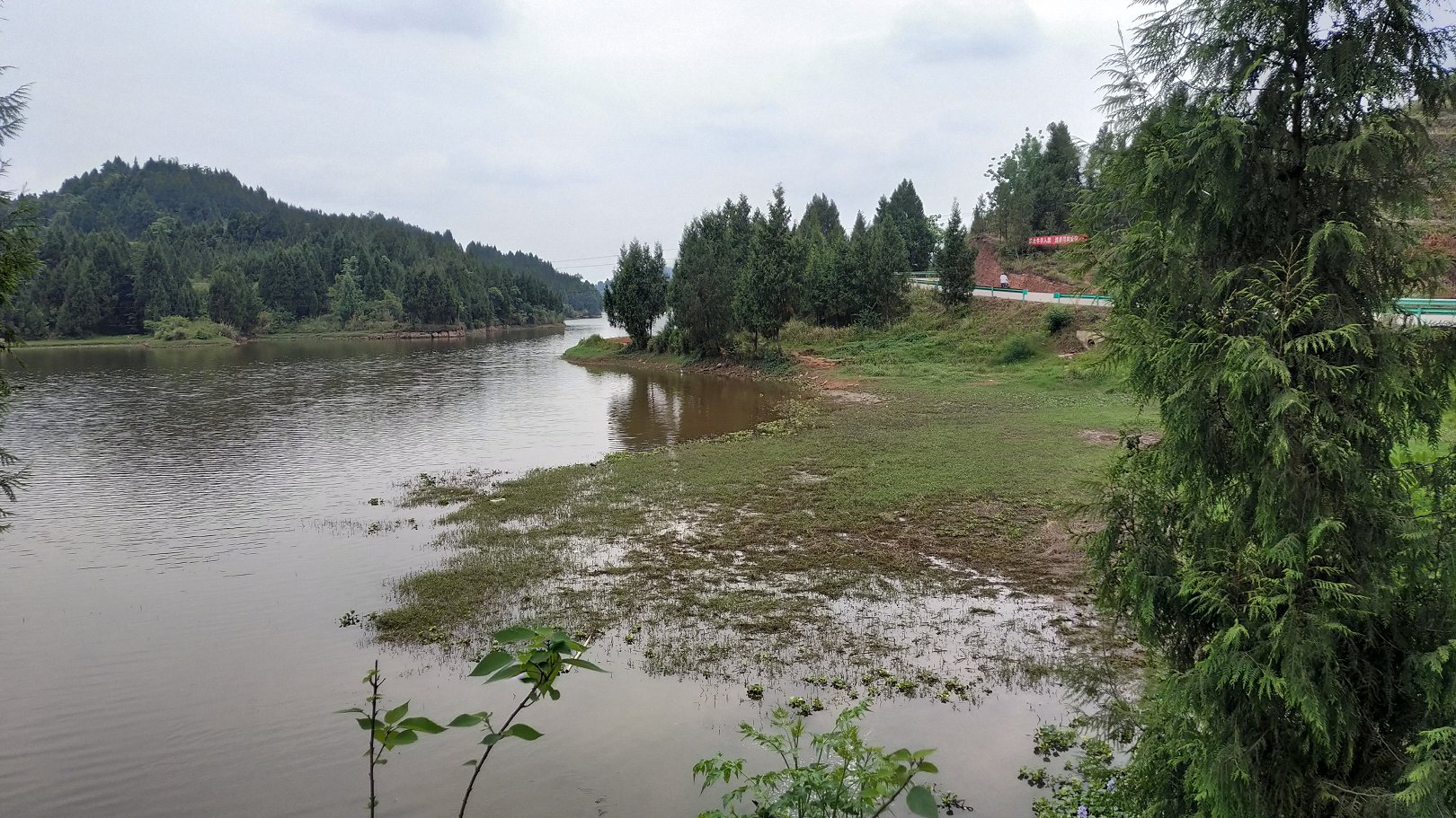 P00521-153339.jpg