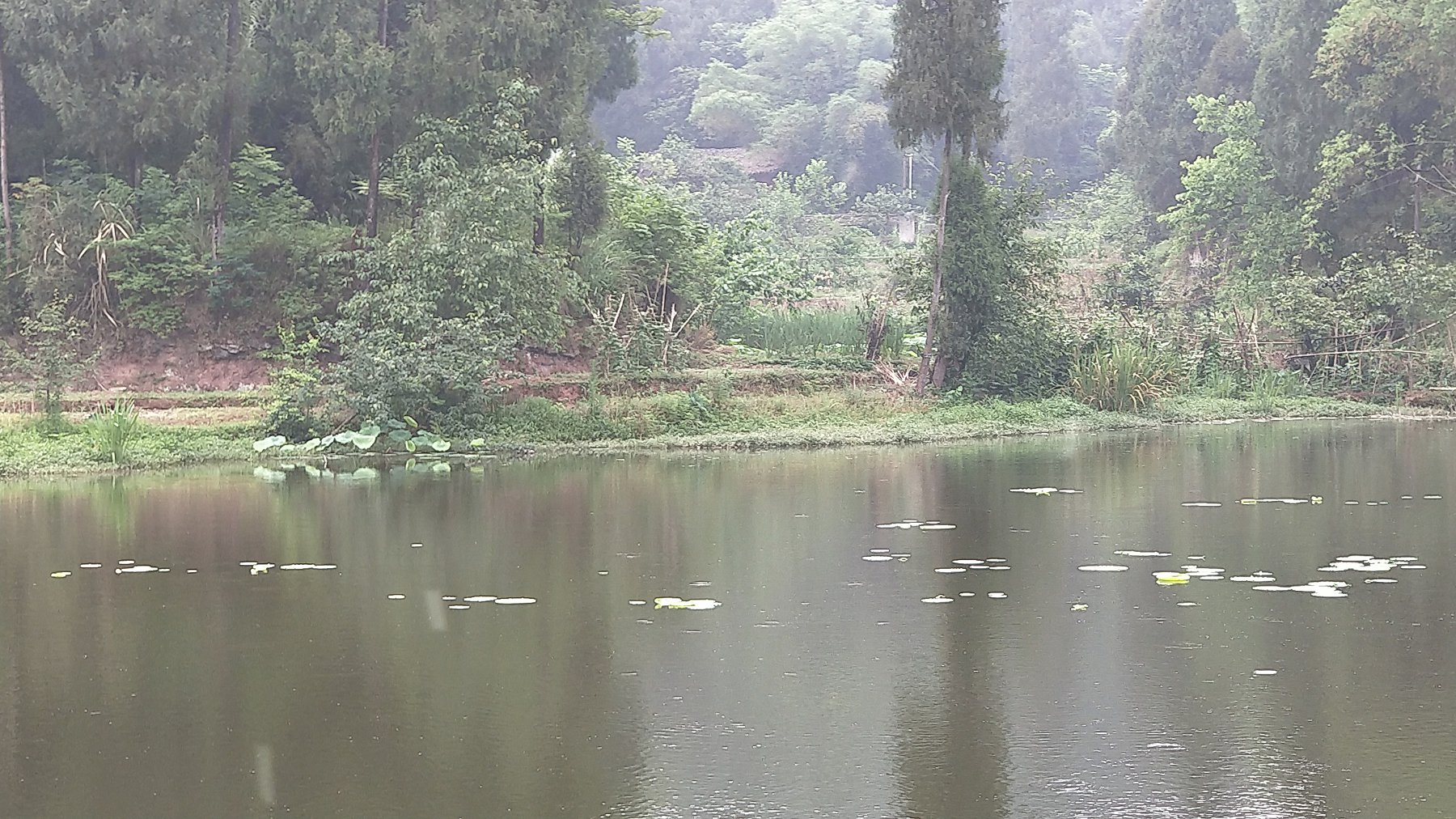 P00522-075426.jpg