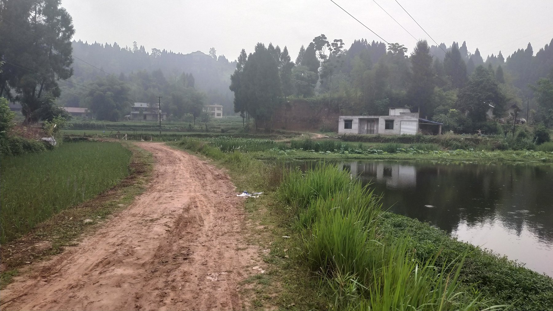 P00522-075253.jpg
