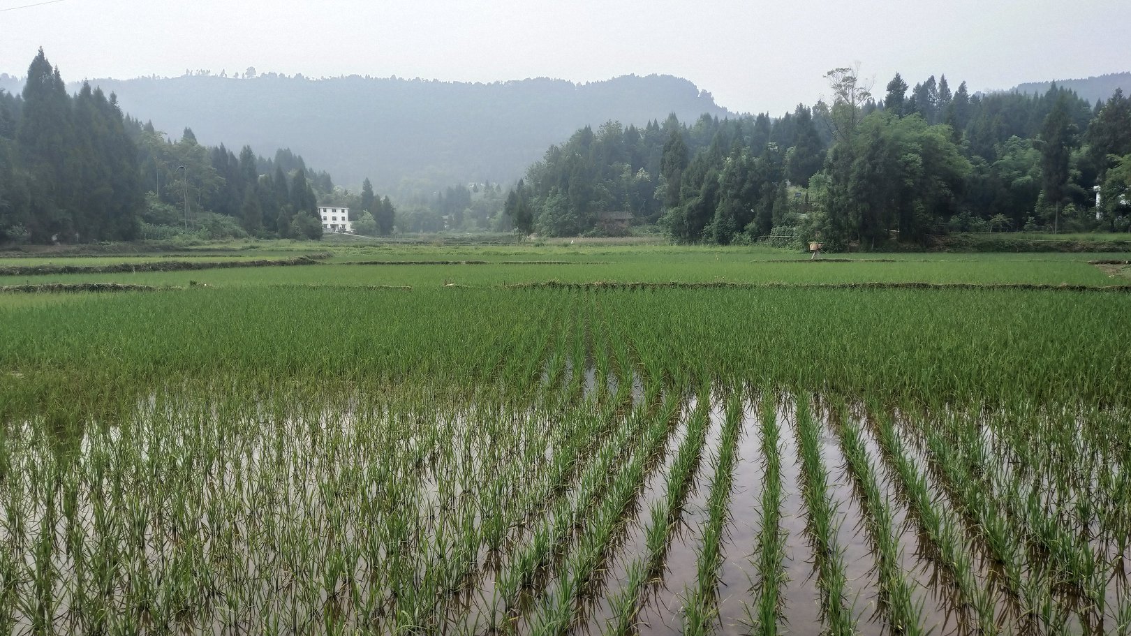 P00522-083455.jpg