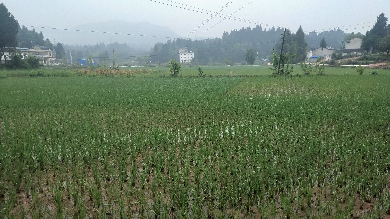 P00522-074433.jpg