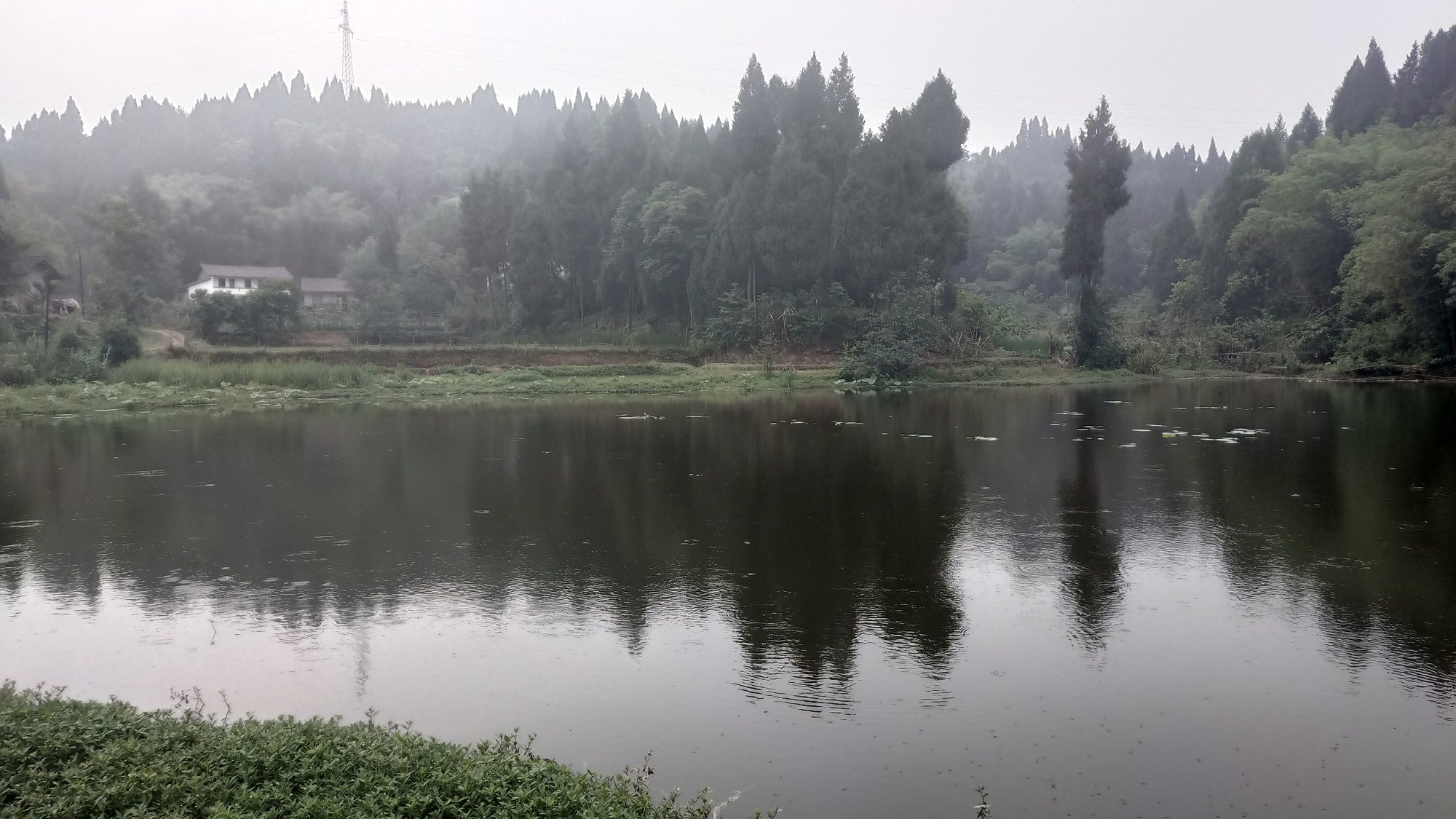 P00522-075258.jpg