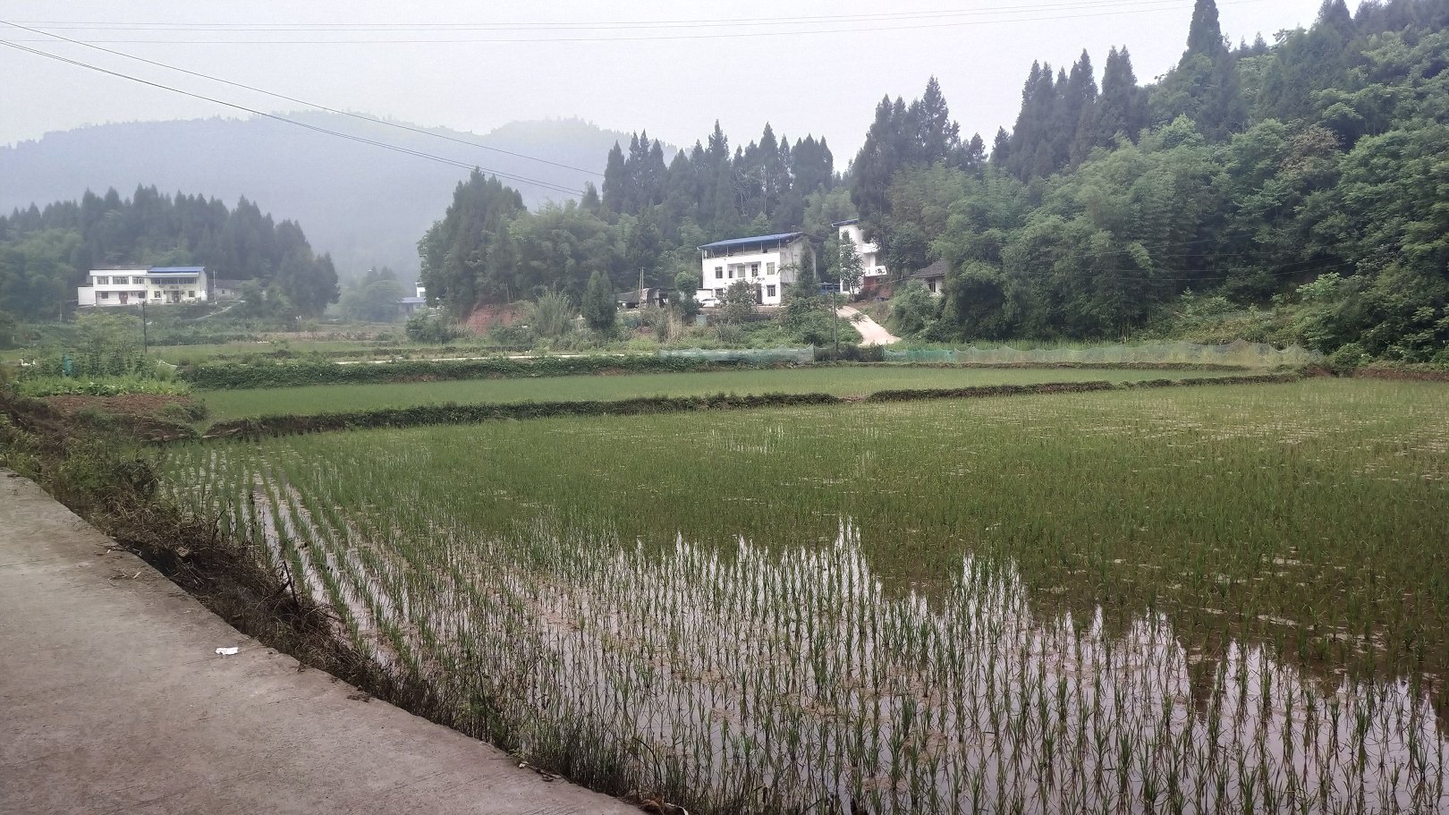 P00522-080811.jpg
