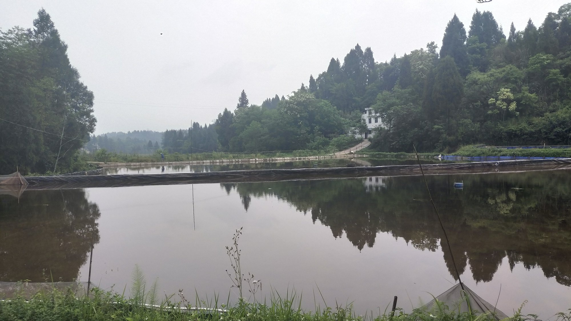 P00522-082946.jpg