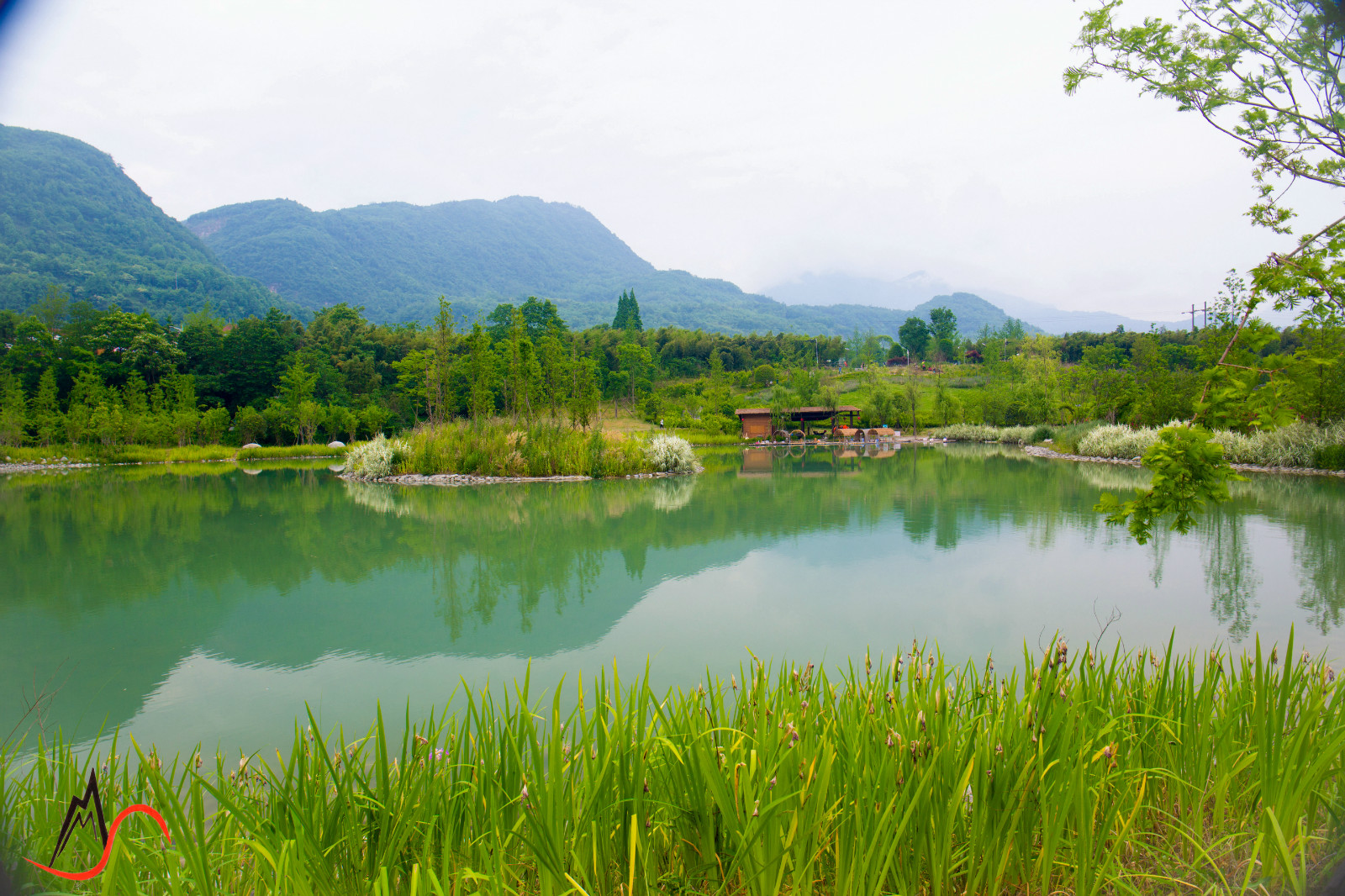 彭州鱼凫湿地图片
