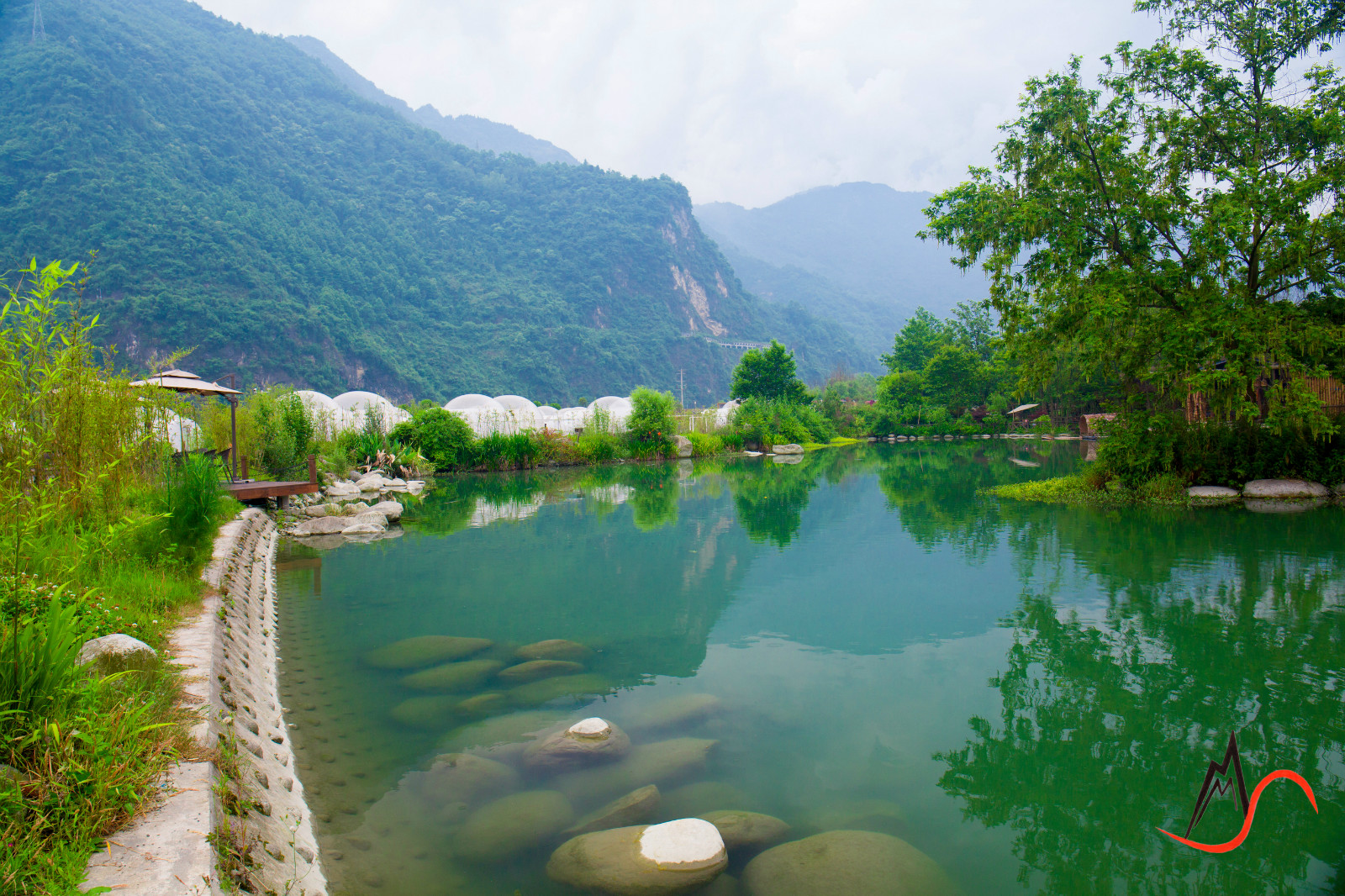 鱼凫湿地图片