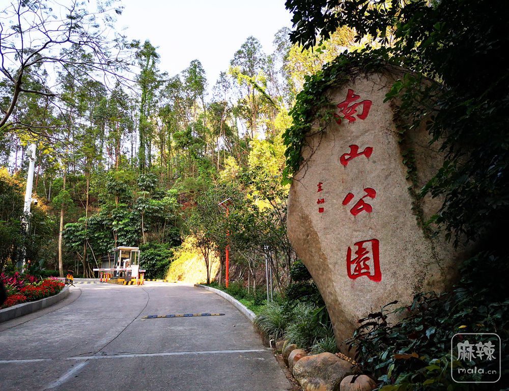 深圳大南山公园登山全程随拍风光