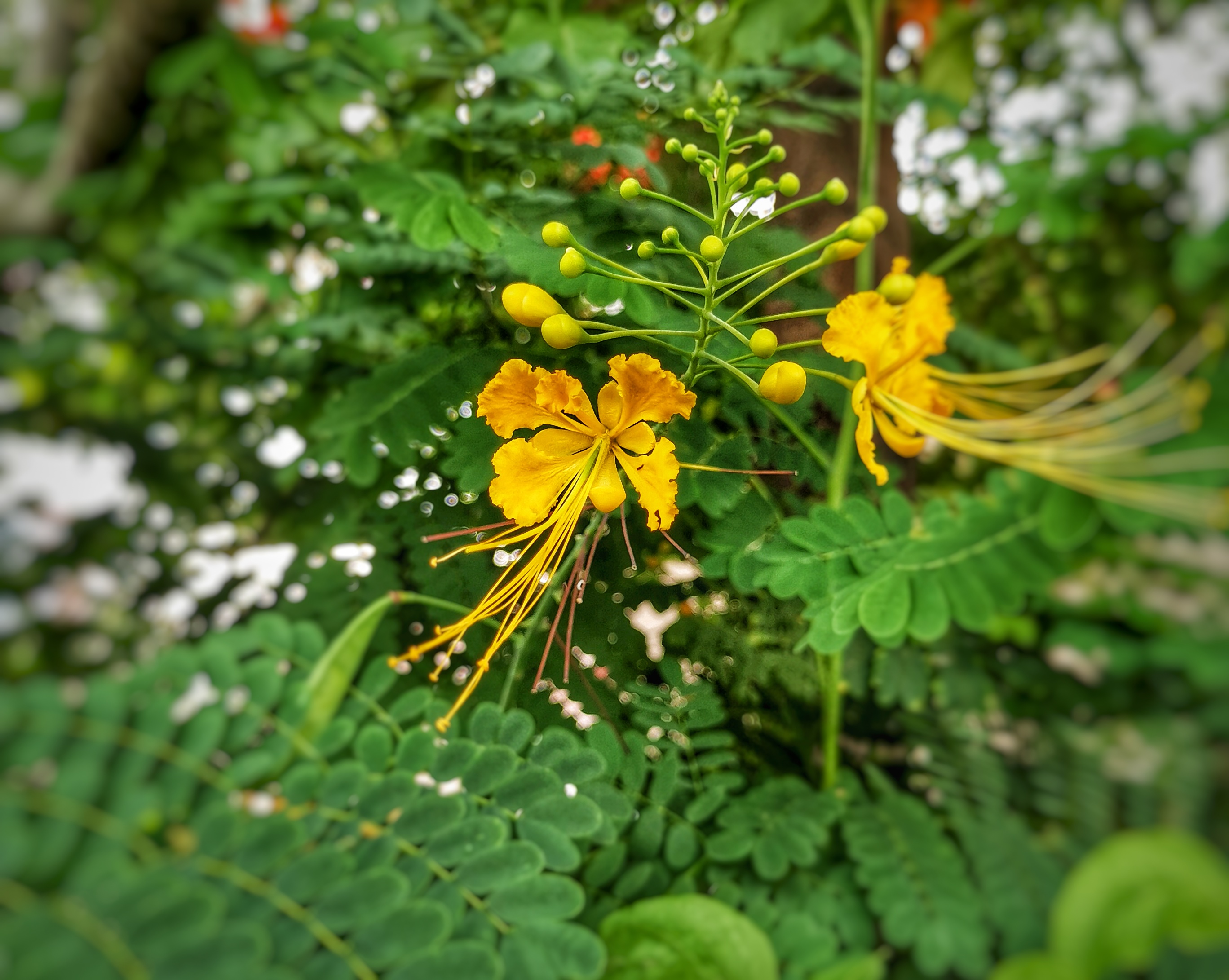 ΢ͼƬ_20200606093438.jpg
